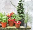 Gartendeko Selber Machen Einfach Neu Gartendeko Selber Machen • Bilder & Ideen • Couch