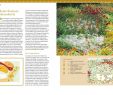 Gartendeko Selber Machen Gartendeko Einzigartig Gärten Gestalten Buch Von Herta Simon Versandkostenfrei Bei