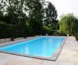 Gartengestaltung Mit Pool Ideen Bilder Neu Lap Pool Cost Glass Wall Swimming Pool with Support Our