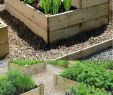 Gartenideen 2020 Einzigartig 46 Ideen Für Einfache Gemüsebeete 2019 Farmfoodfamily