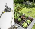 Gartenideen 2020 Luxus Sensotimer St 6 Duo Eco Ogic