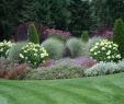 Gartenideen Kleine Gärten Gestalten Genial Die 73 Besten Bilder Zu Garten