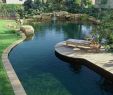 Gartenideen Pool Genial Schwimmteiche