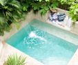 Gartenideen Pool Inspirierend 84 Best Pool Landscaping Images