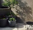 Gartenmöbel Polyrattan Lounge Inspirierend Reka Bentuk Teres Gambar Membaharui Teras atau Balkoni anda