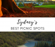 Gartenzelt Neu Best Picnic Spots In Sydney
