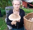 Giftige Pilze Im Garten Schön Pilze Sammeln Bestimmen Putzen & Zubereiten Achtung Vor Dem Gallenröhrling