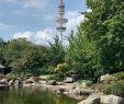 Hamburg Botanischer Garten Best Of Old Botanical Garden Hamburg 2020 All You Need to Know