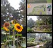 Hamburg Botanischer Garten Luxus Nestodobro Hashtag On Twitter