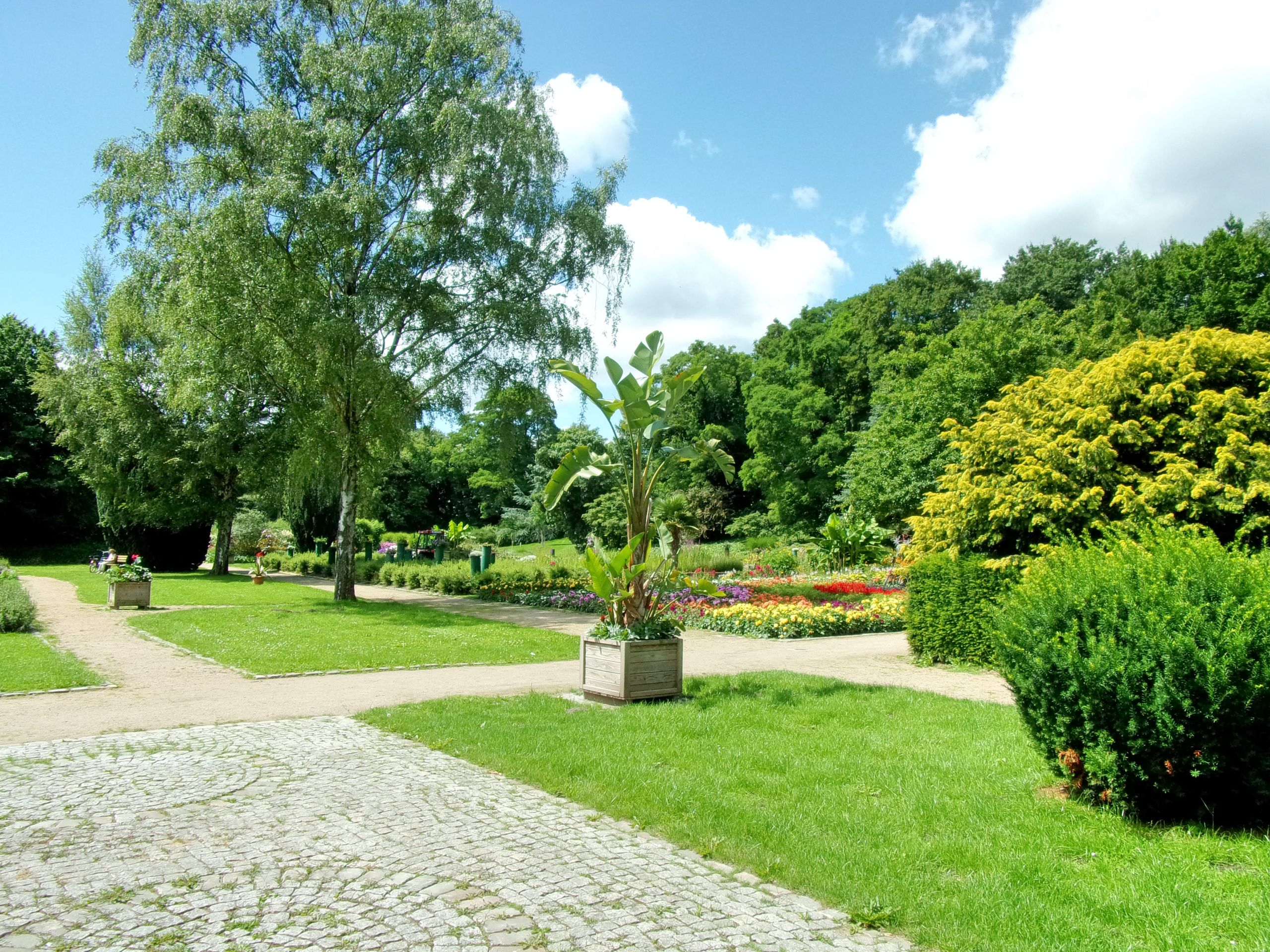 Hamburg Botanischer Garten Schön Botanischer sondergarten Wandsbek –