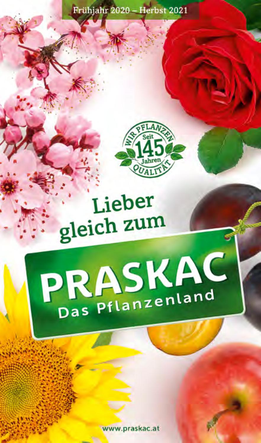 Hangsicherung Garten Schön Praskac Pflanzen Katalog 2020 by Praskac Pflanzenland issuu