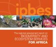Herrenhäuser Garten Best Of 2019 Ipbes Regional assessment Africa by Maro Haas issuu