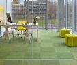 Herrenhauser Garten Einzigartig Mercial Carpet Tile & Resilient Flooring