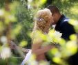 Hochzeitsfeier Im Garten Schön Eine Romantische Hochzeitsfeier Im Eigenen Garten Hat