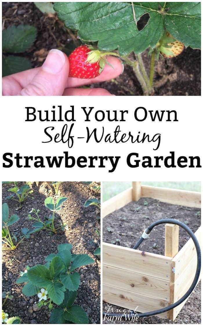 So bauen Sie Ihr eigenes Gartenbett mit Bewässerung unterbewässerter Garten diy buildyourownaquaponicssystem