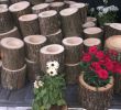Holz Und Garten Inspirierend Töpfe Aus Truhen