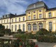 Hotel Garten Bonn Einzigartig Ten Things to Do In Bonn Germany