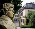 Hotel Garten Bonn Neu Bonn City Trip Vacation to Germany S former Capital City