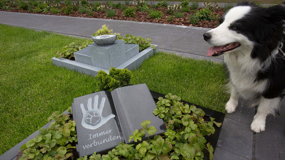 Hund Im Garten Begraben Inspirierend Wo Hund Und Katze Mit Ins Grab Dürfen nordkirche