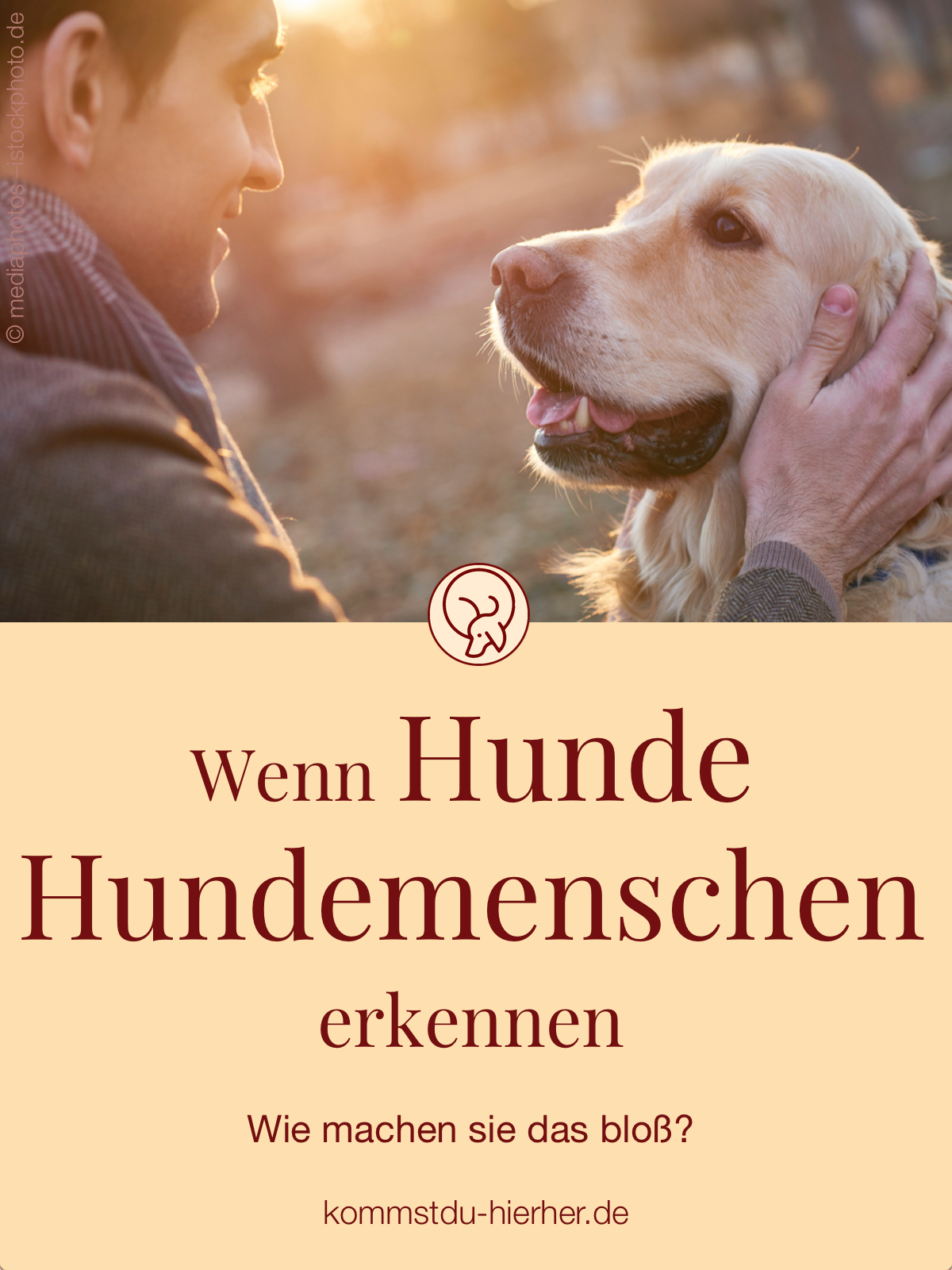 Hund Im Garten Begraben Schön Die 64 Besten Bilder Von Hund & Alltag