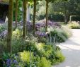 Hydroponischer Garten Luxus Die 1483 Besten Bilder Von Blumen & Gräser & Co In 2020