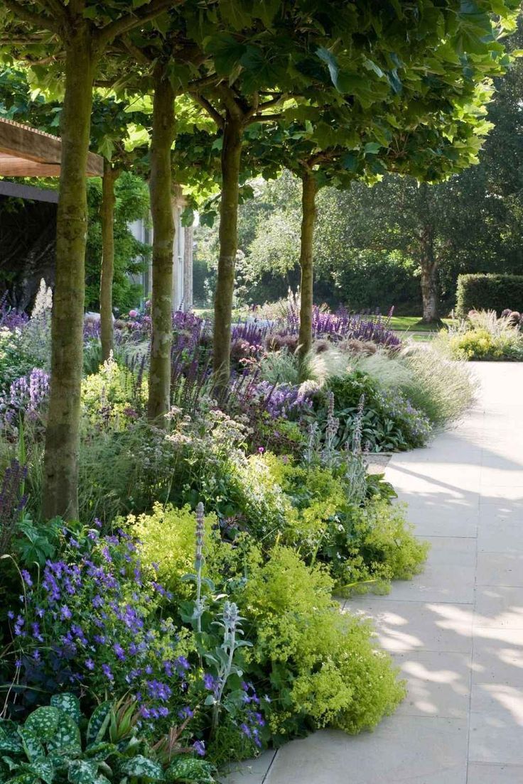 Hydroponischer Garten Luxus Die 1483 Besten Bilder Von Blumen & Gräser & Co In 2020