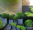 Ideen Für Kleine Gärten Frisch Gartengestaltung Kleine Garten