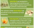 Ingwer Im Garten Neu 902 Best Herbs Herbal Products Reme S for Entire Body