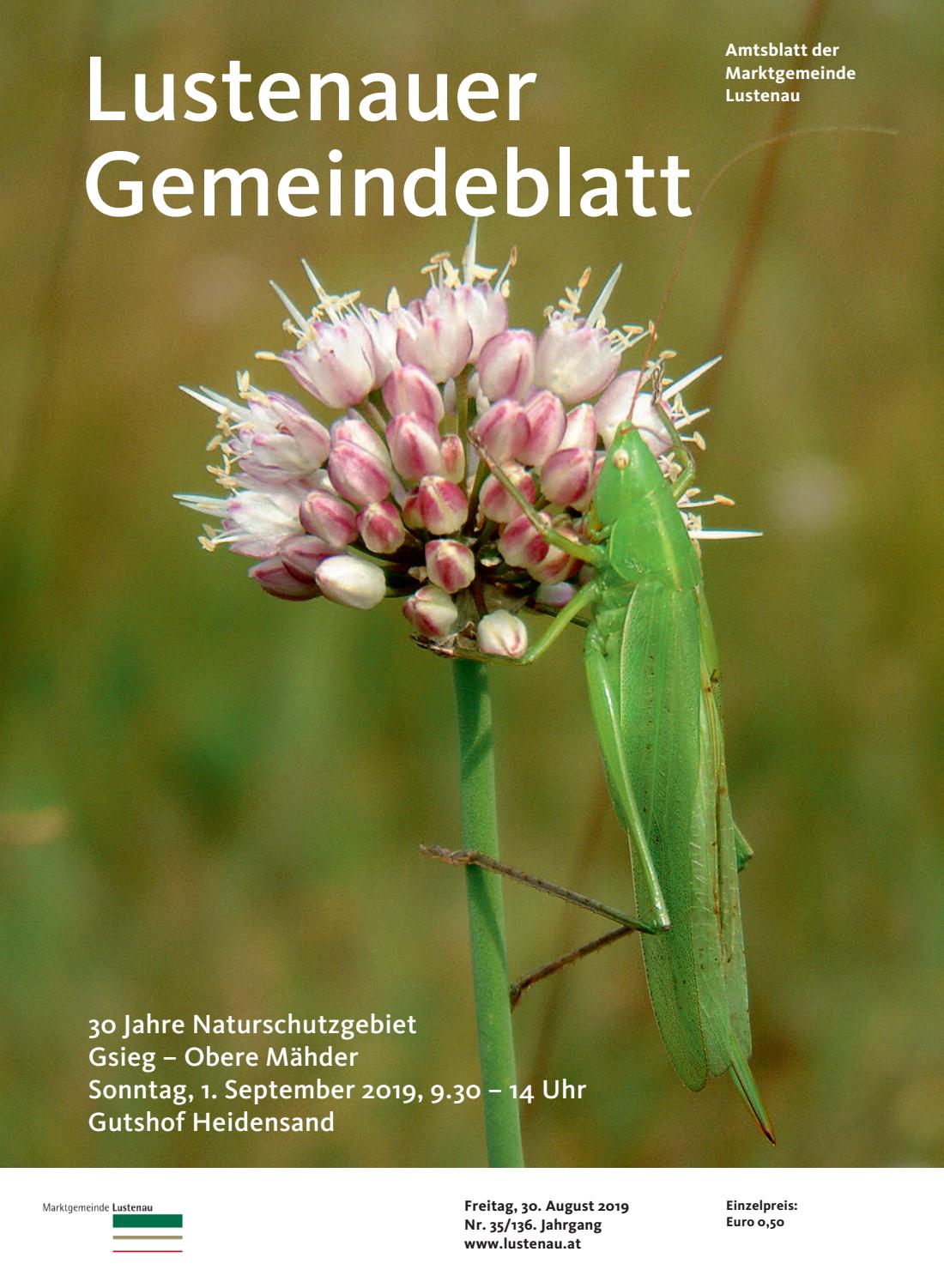 Insektenfreundlicher Garten Genial Gemeindeblatt 35 2019 by Marktgemeinde Lustenau issuu