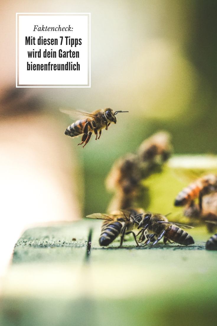 Insektenfreundlicher Garten Inspirierend Die 61 Besten Bilder Von Preis â Ab In Den Garten
