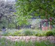 Insektenfreundlicher Garten Schön Die 52 Besten Bilder Von Gartenplanung Renate Waas
