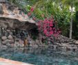 Jakusie Garten Einzigartig Mussaenda Hotel & Gardens Pool & Reviews Tripadvisor