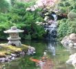 Japanischer Garten Anlegen &amp; Gestalten Best Of Chinesischen Garten Anlegen