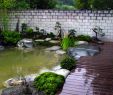Japanischer Garten Anlegen &amp; Gestalten Best Of Household Of Plastic Japanischer Garten Anlegen & Gestalten