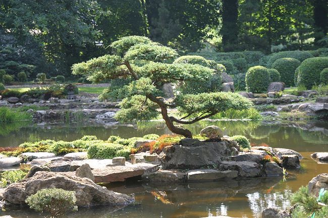 Japanischer Garten Anlegen &amp; Gestalten Best Of Japangarten