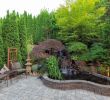 Japanischer Garten Anlegen &amp; Gestalten Best Of Japanischen Garten Anlegen– Gestaltungstipps Von Dr Garten