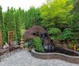 Japanischer Garten Anlegen &amp; Gestalten Best Of Japanischen Garten Anlegen– Gestaltungstipps Von Dr Garten