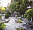 Japanischer Garten Anlegen &amp; Gestalten Best Of Kleinen Japanischen Garten Selber Anlegen Anleitung