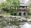 Japanischer Garten Anlegen &amp; Gestalten Einzigartig Japanischer Garten Tipps Zum Gestalten Und Anlegen Das Haus