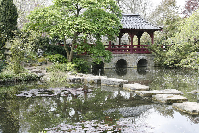 Japanischer Garten Anlegen &amp; Gestalten Einzigartig Japanischer Garten Tipps Zum Gestalten Und Anlegen Das Haus