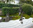 Japanischer Garten Anlegen &amp; Gestalten Einzigartig Kiesgarten Anlegen Japanischer Garten Gestalten