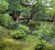 Japanischer Garten Anlegen &amp; Gestalten Elegant Japanische Gartengestaltung