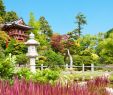 Japanischer Garten Anlegen &amp; Gestalten Elegant Japanischen Garten Anlegen 10 Ideen Mit Bildern