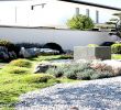 Japanischer Garten Anlegen &amp; Gestalten Elegant Japanischen Garten Anlegen Pflegen Und Gestalten