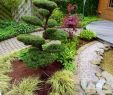 Japanischer Garten Anlegen &amp; Gestalten Elegant Kleinen Japanischen Garten Anlegen Google Search