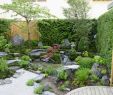 Japanischer Garten Anlegen &amp; Gestalten Elegant Kleiner Garten Ganz Moos Groß asian Landscape