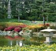 Japanischer Garten Anlegen &amp; Gestalten Frisch 27 Schön Japanischer Garten Gestalten
