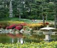 Japanischer Garten Anlegen &amp; Gestalten Frisch 27 Schön Japanischer Garten Gestalten