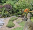 Japanischer Garten Anlegen &amp; Gestalten Frisch Bäume Für Den Japanischen Garten Welche Passen Am Besten