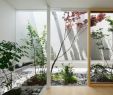 Japanischer Garten Anlegen &amp; Gestalten Genial Japanischer Garten 10 Ideen Zum Anlegen Und Gestalten